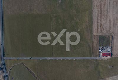 Teren 11.600 mp – Rasnov, zona Tabara, 230 m de DN 73 - 12