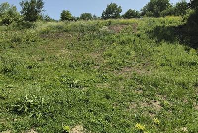 Teren de 2316 mp, în Feiurdeni - 4