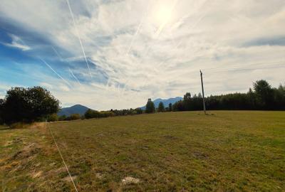 5800 mp fineata, pretabil camping, constructii A-frame, Sohodol, Bran - 7