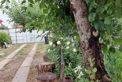 Casă cu 4 camere cu Teren 160 Mp în Osica de Jos - 1