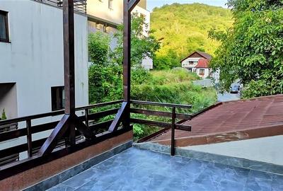 FILM&3D! Resedinta notabila, in pretiosul areal:Drumul Poienii,Centru Istoric Me - 45