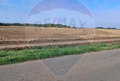 Teren de 21177 mp, în Santăul Mic