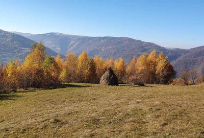 Teren de 13046 mp, în Muntele Rece - 14