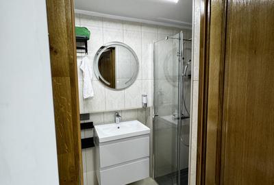 VAND APARTAMNT 3 CAMERE,PARTER, ULTRACENTRAL LA CURTE - 16