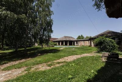 Casă cu 6 camere cu Teren 4000 Mp în Snagov