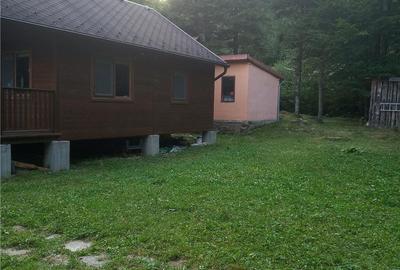 Casă cu 3 camere cu Teren 2000 Mp în Central - 5