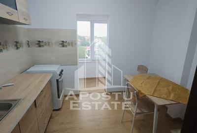 Apartament cu 2 camere decomandat în Lipovei - 2
