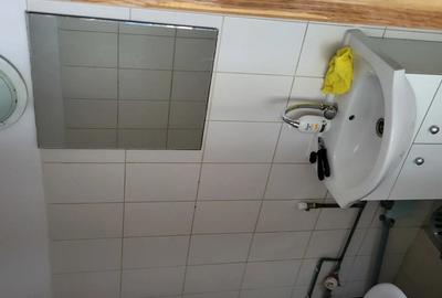 Spa?iu comercial - 3