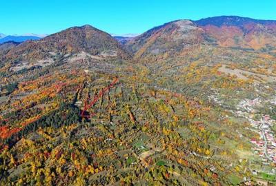 Vand Teren Corbeni, Arges zona Cetatea Poenari, Transfagarasan