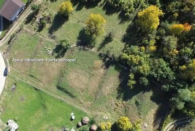 Teren de 3500 mp, în Cacica - 13