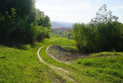Teren 33,137mp Sighetu Marmatiei / Strada Mocani?ei Teren 33,137mp Sighetu Marmatiei / Strada Mocani?ei - 2