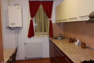 Apartament cu 2 camere semidecomandat în Noua - 3