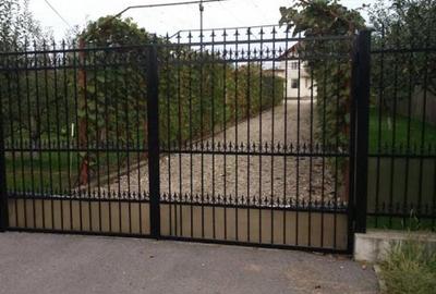 Ciopani vila 5 camere teren 4000 mp - 6