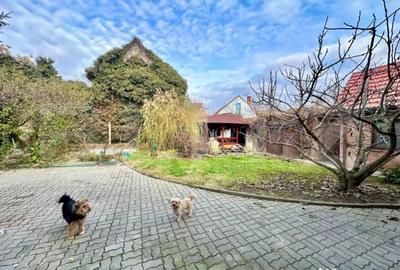 Spațiu comercial, de 210 mp, în Central - 12