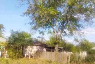 Casă cu Teren 2000 Mp în Ștefan Vodă - 1