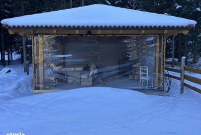 Casă cu Teren 5500 Mp în Sântimbru - 12