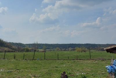 Teren intravilan 3109mp - 1