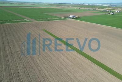 Teren de 10500 mp, în Nicolae Bălcescu - 8