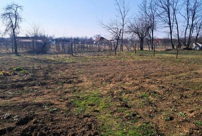 Casă individuală cu 3 camere cu Canalizare în Polovragi - 11