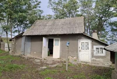 Teren de 200 mp, în Prisecani - 5