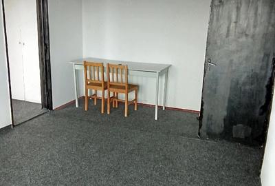 Apartament cu 2 camere semidecomandat în Liviu Rebreanu - 4