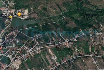 Teren Construcții intravilan de 8454 mp, în Săldăbagiu de Munte - 1