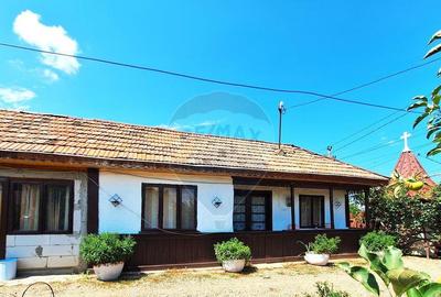 Casa cu teren de vanzare Casa cu teren de vanzare - 2