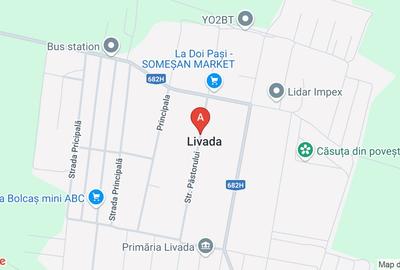 Casa cu etaj în Livada - 1