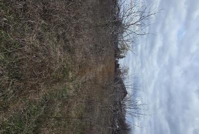 Casă cu 5 camere cu Teren 2074 Mp în Rubla - 4