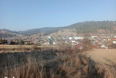 Teren de 3000 mp, în Curtești - 4