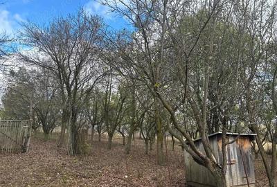 Casă cu 4 camere în Stupini - 1