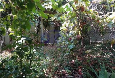 Casă cu 3 camere cu Teren 288 Mp în Eroii Revoluției - 9