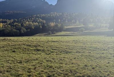 Spațiu comercial, în Central - 2