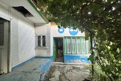 Vand casa batraneasca Vand casa batraneasca - 2