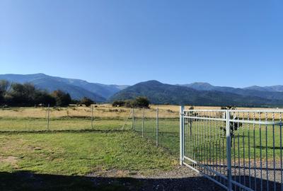 Casă cu 4 camere în Recea - 2