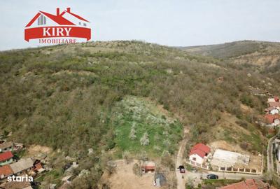 Teren de 92400 mp, în Central - 2