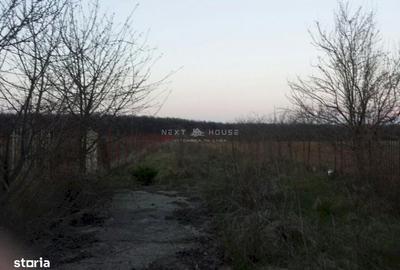 Casă cu 3 camere cu Canalizare în Izvorani - 9