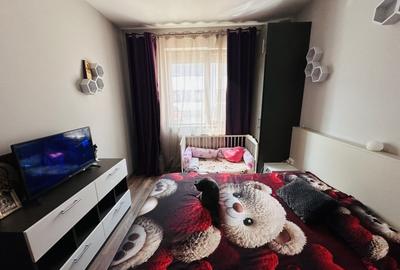 Apartament cu 2 camere decomandat, mobilat în Roșu - 8