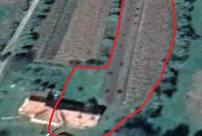 Casă cu 4 camere în Hațeg - 2