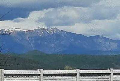 Teren de 8000 mp, în Drăgoești - 8