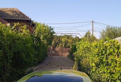 Casă cu 6 camere în Giubega - 10