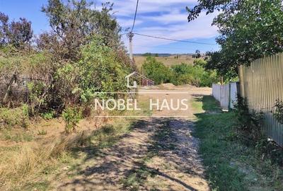 Teren 6200 mp, intravilan, sat Bogesti, comuna Pogana - 6