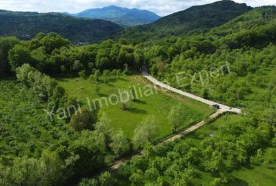 Teren de vanzare in comuna Corbi, jude? Arge?. - 6