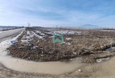 Vanzare teren intravila industrial, 10480 mp, centura Brasov - 1