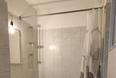 Inchiriere Apartament 2 Camere Semidecomandat Berceni-Rezonantei - 7