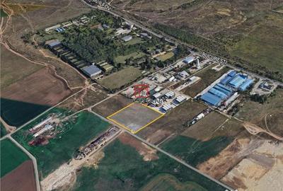 Teren de 15000 mp, în Domnești