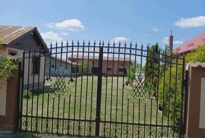 Casă cu 7 camere în Albeni - 2