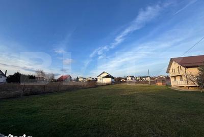 Teren de 1000 mp, în Șcheia - 1