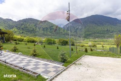 Teren de 1100 mp, în Tohănița - 18