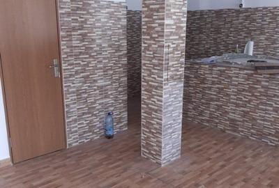 Vanzare spa?iu comercial stradal Cartier Siderurgi?... Vanzare spa?iu comercial stradal Cartier Siderurgi?... - 6